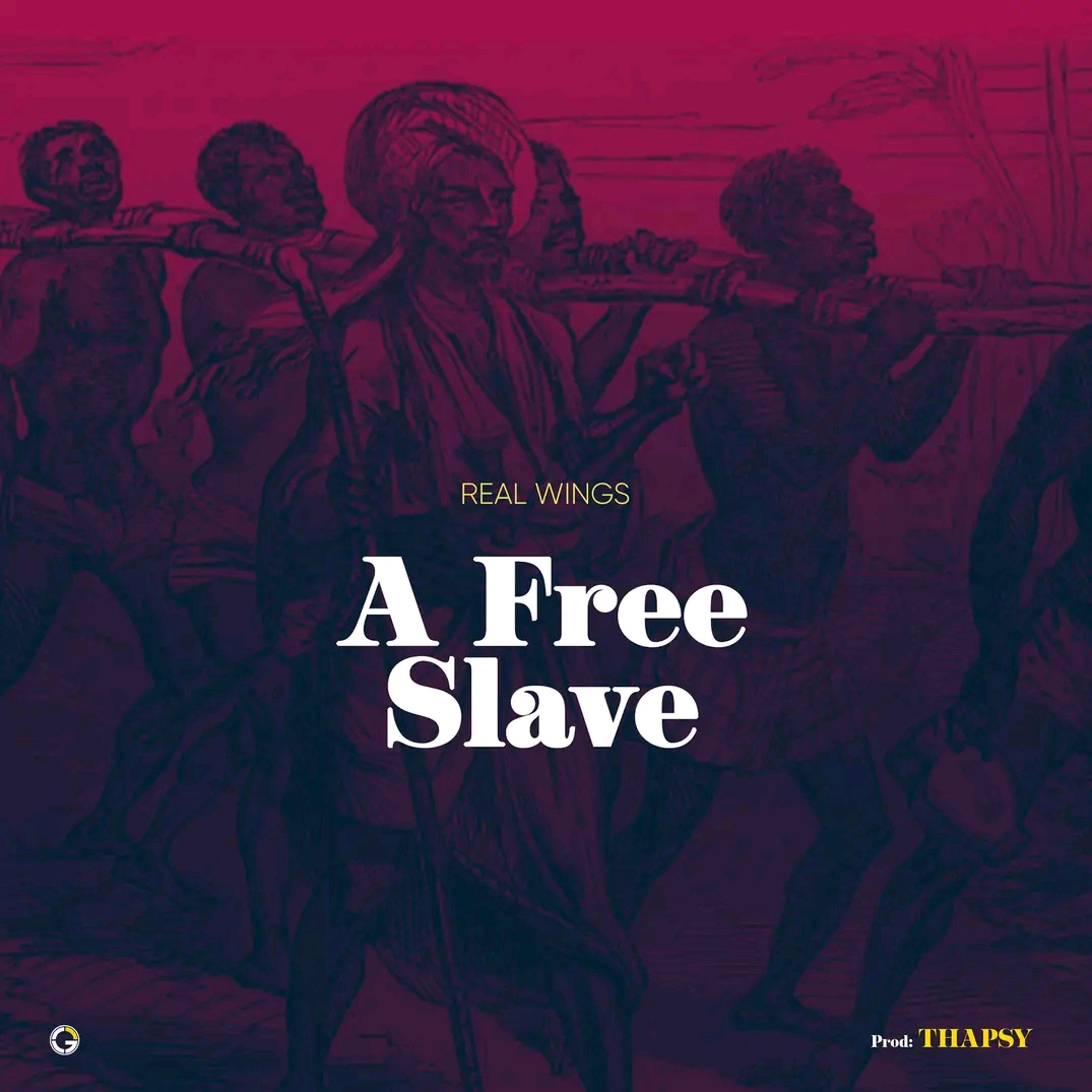 A Free Slave
